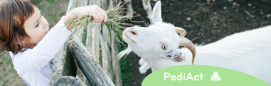 5 vérités que vous ne savez pas sur les préparations infantiles à base de lait de chèvre