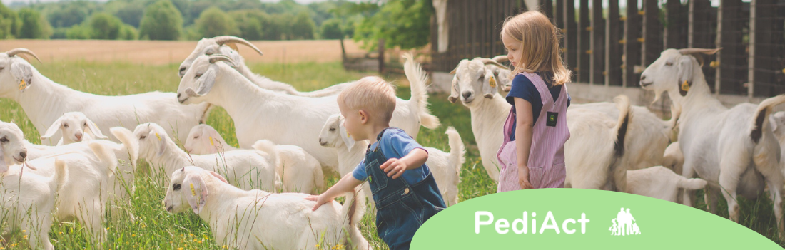 Lait infantile sans lait de vache : quelles solutions ?