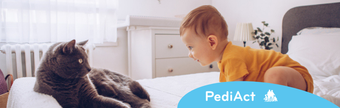 Bébé et chat : quels sont les risques ?
